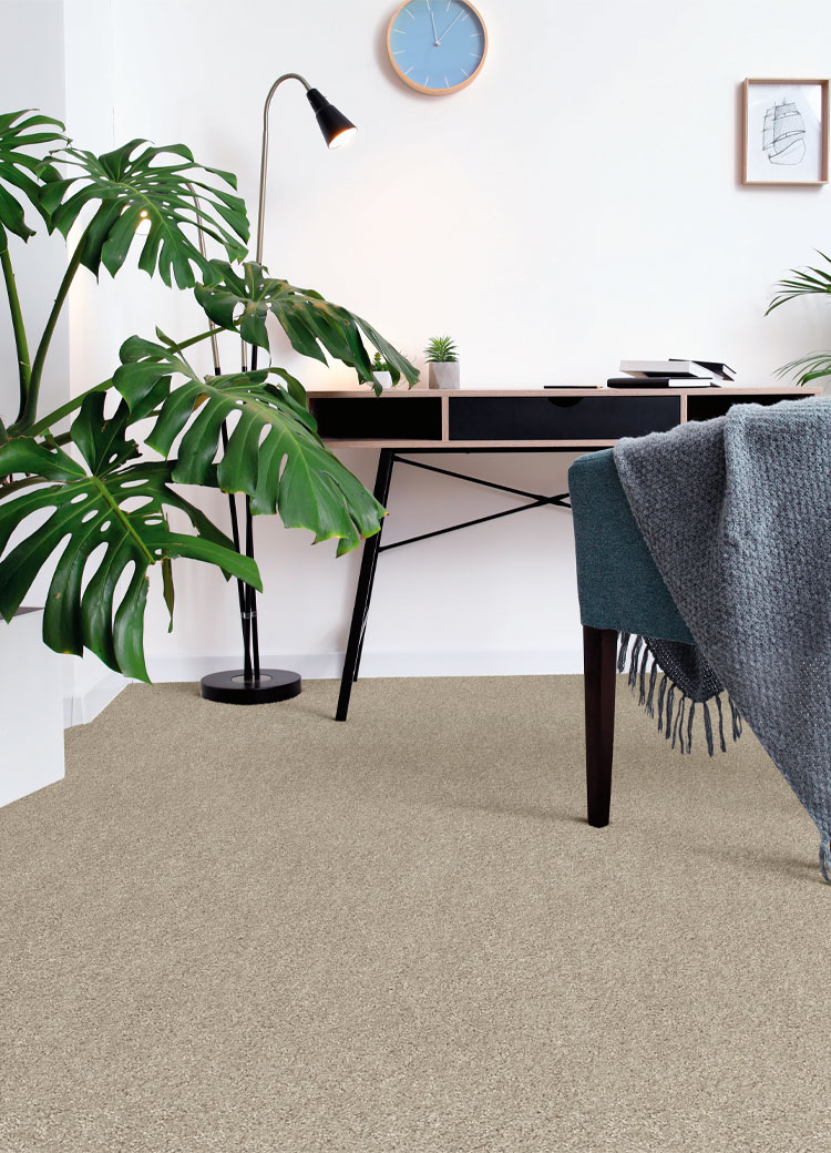 beige carpet in home office with large plants.